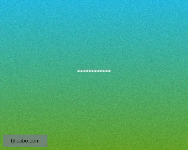 吉尔尼斯军需官传奇：穿越战火与权谋的背后故事